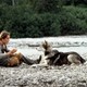 photo du film Croc-Blanc