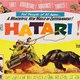 photo du film Hatari !