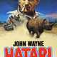photo du film Hatari !