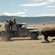 photo du film Hatari !