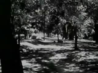 Extrait vidéo du film  La Dame et le toreador
