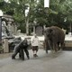 photo du film Zookeeper