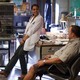 photo du film Zookeeper
