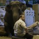 photo du film Zookeeper