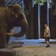 photo du film Zookeeper