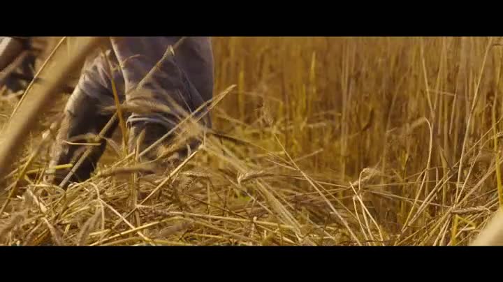 Un extrait du film  Loin de la foule déchaînée