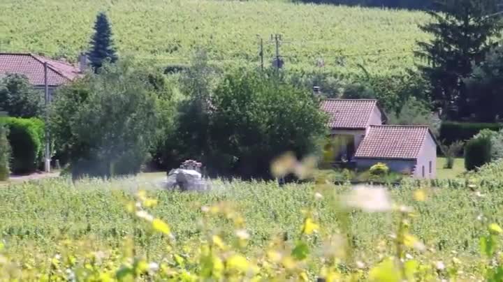 Extrait vidéo du film  Insecticide, mon amour