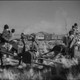 photo du film Pacific Express