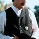 photo du film Wyatt Earp
