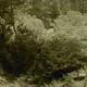 photo du film Le Dernier des Mohicans