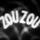 photo du film Zouzou