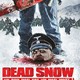photo du film Dead snow