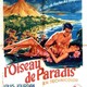 photo du film L'Oiseau de Paradis