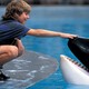 photo du film Sauvez Willy 3, la poursuite