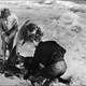 photo du film Cinq survivants