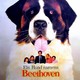 photo du film Beethoven