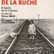 photo du film L'Esprit de la ruche