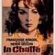 photo du film La Chatte