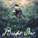 photo du film Bright Star