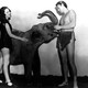 photo du film Tarzan trouve un fils