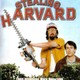 photo du film Stealing Harvard