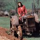 photo du film Trois Anglaises en campagne