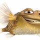 photo du film Le Monde de Nemo