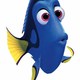 photo du film Le Monde de Nemo