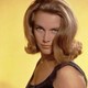 Voir les photos de Honor Blackman sur bdfci.info
