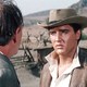 photo du film Les Rôdeurs de la plaine