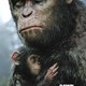 photo du film La Planète des singes : l'affrontement