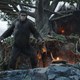 photo du film La Planète des singes : l'affrontement