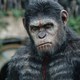 photo du film La Planète des singes : l'affrontement