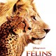 photo du film Félins
