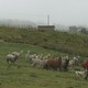 photo du film Ecuador