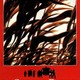 photo du film Le Sorgho rouge