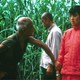 photo du film Le Sorgho rouge