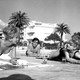 photo du film Mélodie en sous-sol