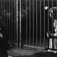 photo du film Zoo zéro