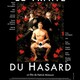 photo du film Le traité du hasard