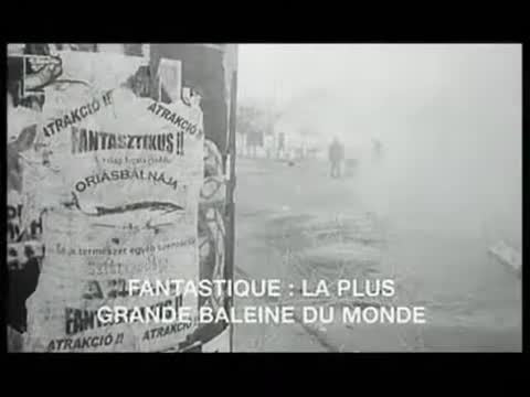 Extrait vidéo du film  Les Harmonies Werckmeister