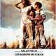 photo du film Les Saisons du coeur