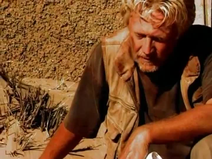 Extrait vidéo du film  Le Roi est vivant
