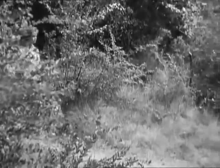 Extrait vidéo du film  La Lumière d en face