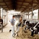 photo du film Pour Sacha