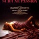 photo du film Enquête sur une passion