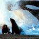 photo du film La Planète bleue