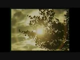 Extrait vidéo du film  Fearless Frank