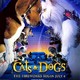 photo du film Comme chiens et chats
