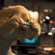 photo du film Comme chiens et chats
